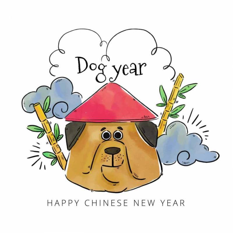 有中国帽子的中国狗有竹子和云彩的