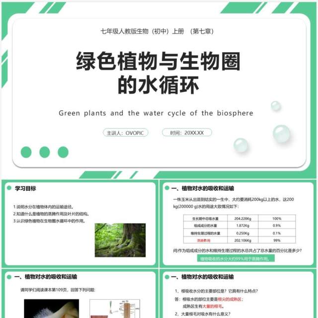 人教版七年级生物上册绿色植物与生物圈的水循环课件PPT模板 人教版七年级生物上册绿色植物与生物圈的水循环课件PPT模板
