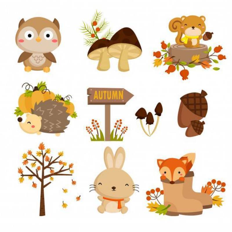 林地秋季动物集