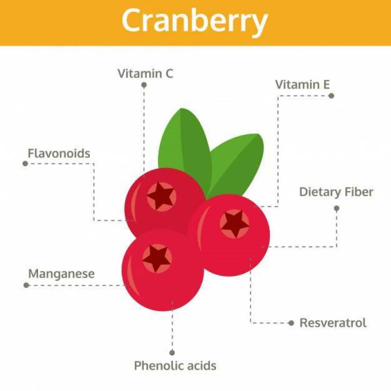 Cranberry nutrient of facts and health benefits