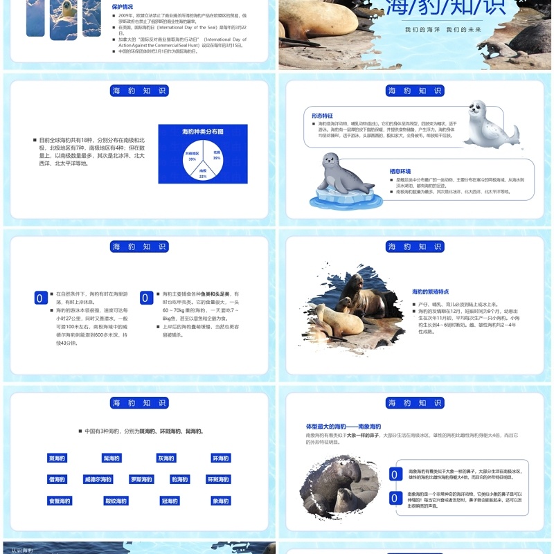 蓝色简约风国际海豹日PPT模板