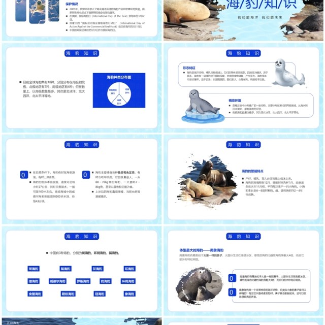 蓝色简约风国际海豹日PPT模板 蓝色简约风国际海豹日PPT模板