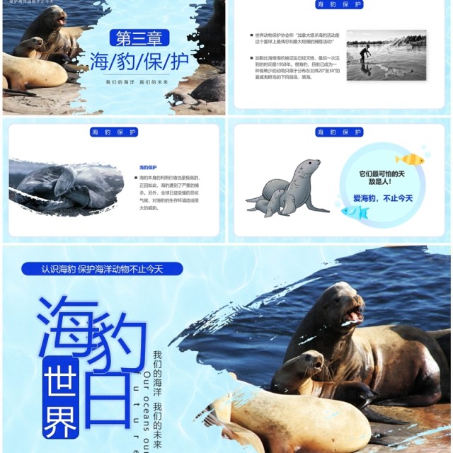 蓝色简约风国际海豹日PPT模板 蓝色简约风国际海豹日PPT模板