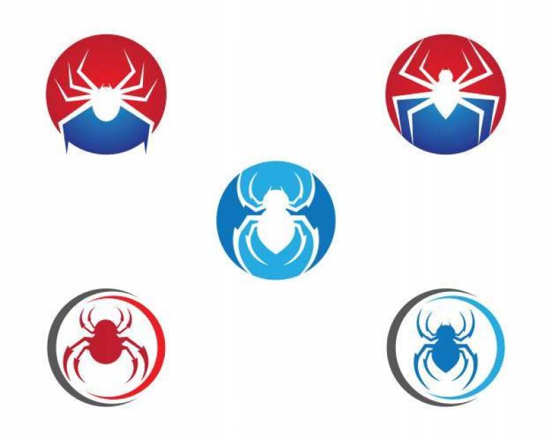 Spider vector icon