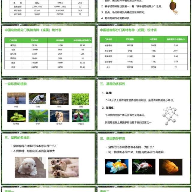 部编版八年级生物上册认识生物的多样性PPT模板 部编版八年级生物上册认识生物的多样性PPT模板