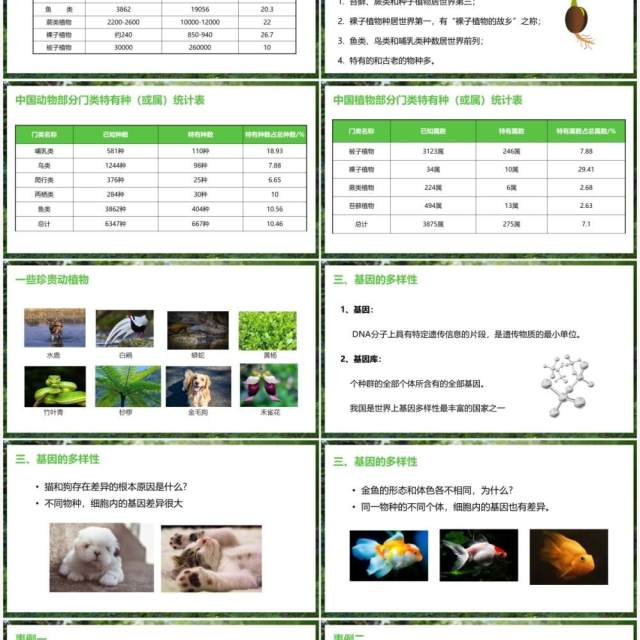 部编版八年级生物上册认识生物的多样性PPT模板