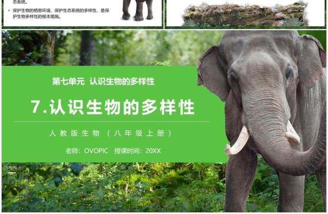 部编版八年级生物上册认识生物的多样性PPT模板 部编版八年级生物上册认识生物的多样性PPT模板