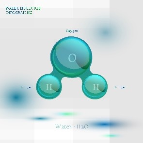 信息图表生物气泡09