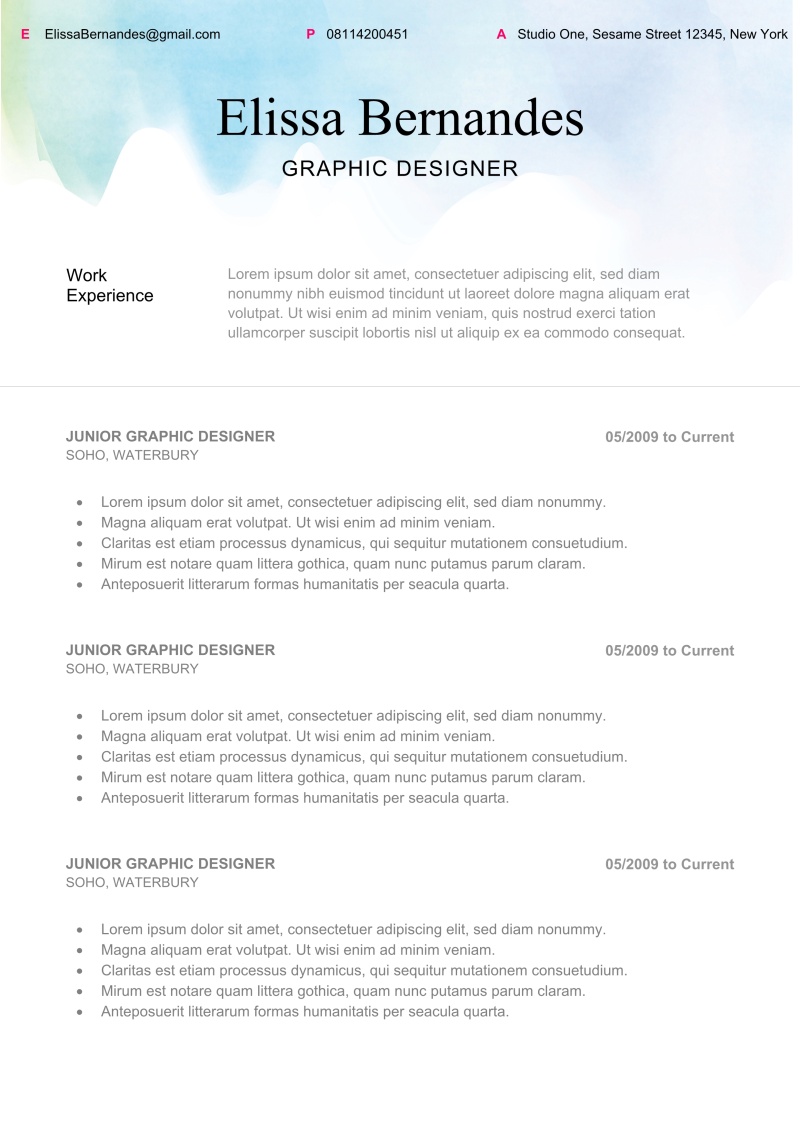 全英文外企求职英文个人简历WORD模板25