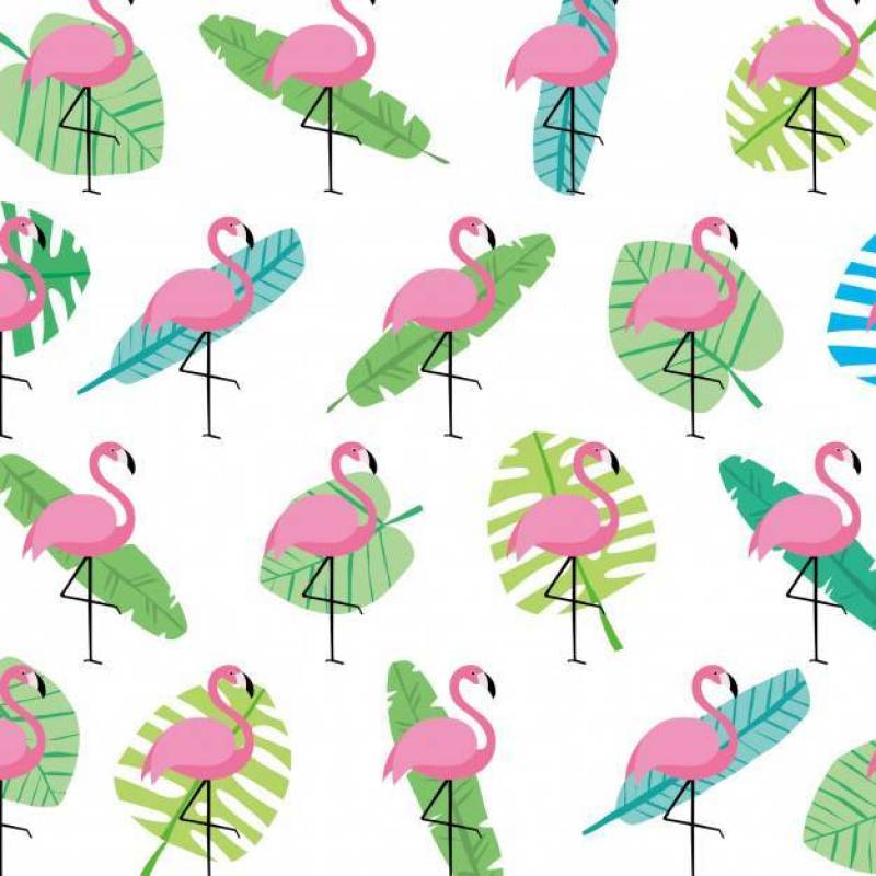 粉红色的野生叶和火烈鸟快乐的春天夏天