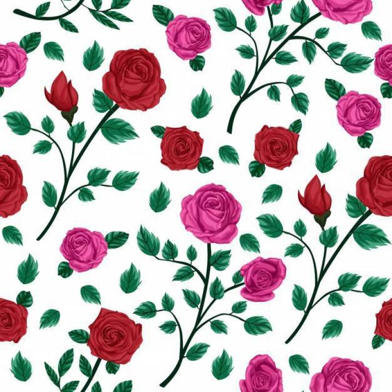 红色和粉红色玫瑰花卉花无缝模式