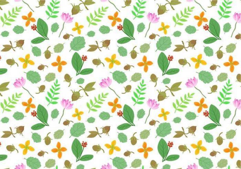  的药用植物图案矢量