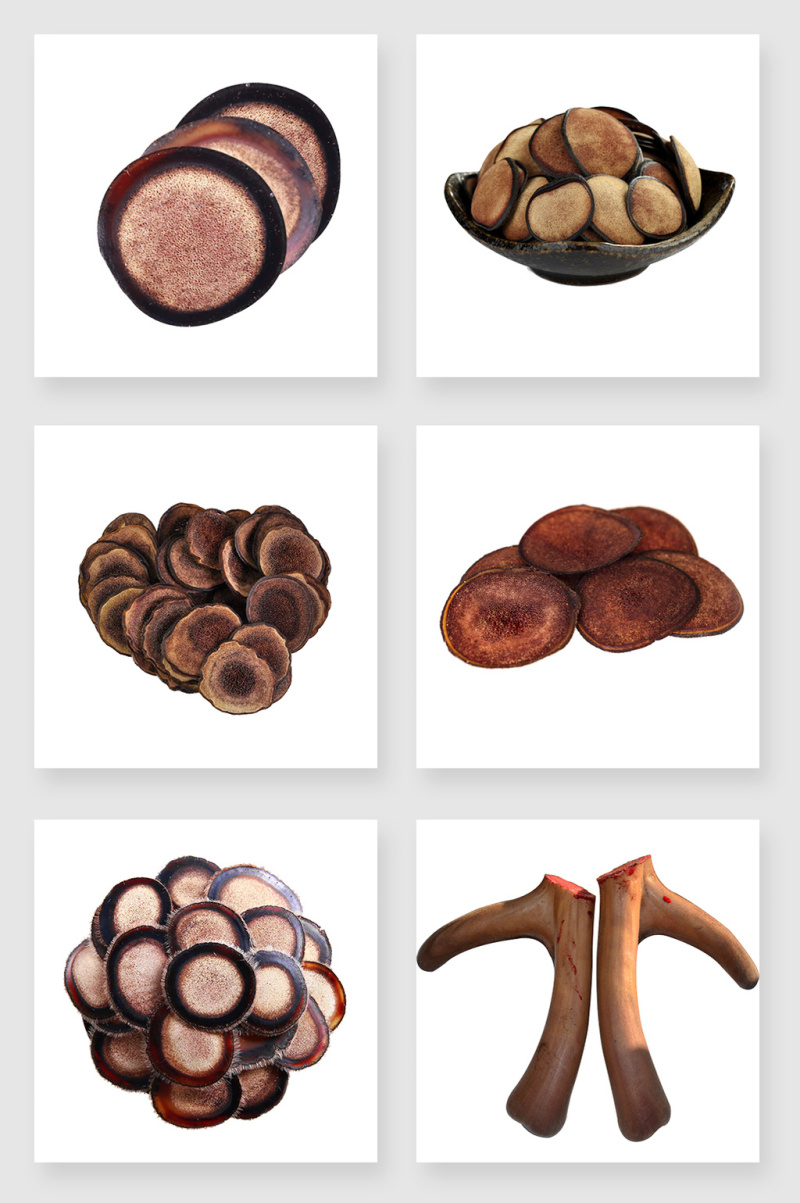 美味的鹿茸设计元素