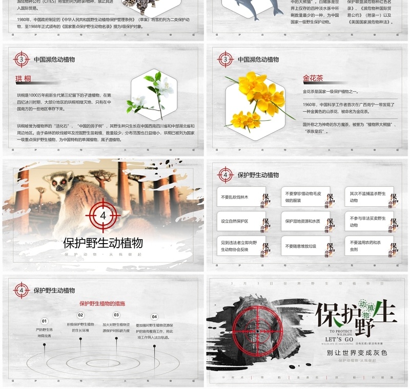 灰色简约风保护野生动植物宣传PPT模板