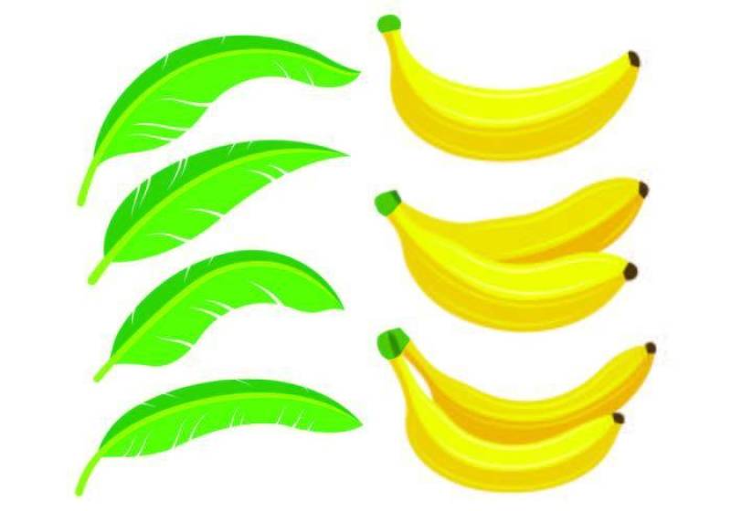 大蕉图标集
