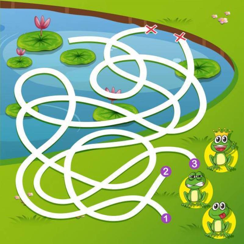 青蛙迷宫游戏