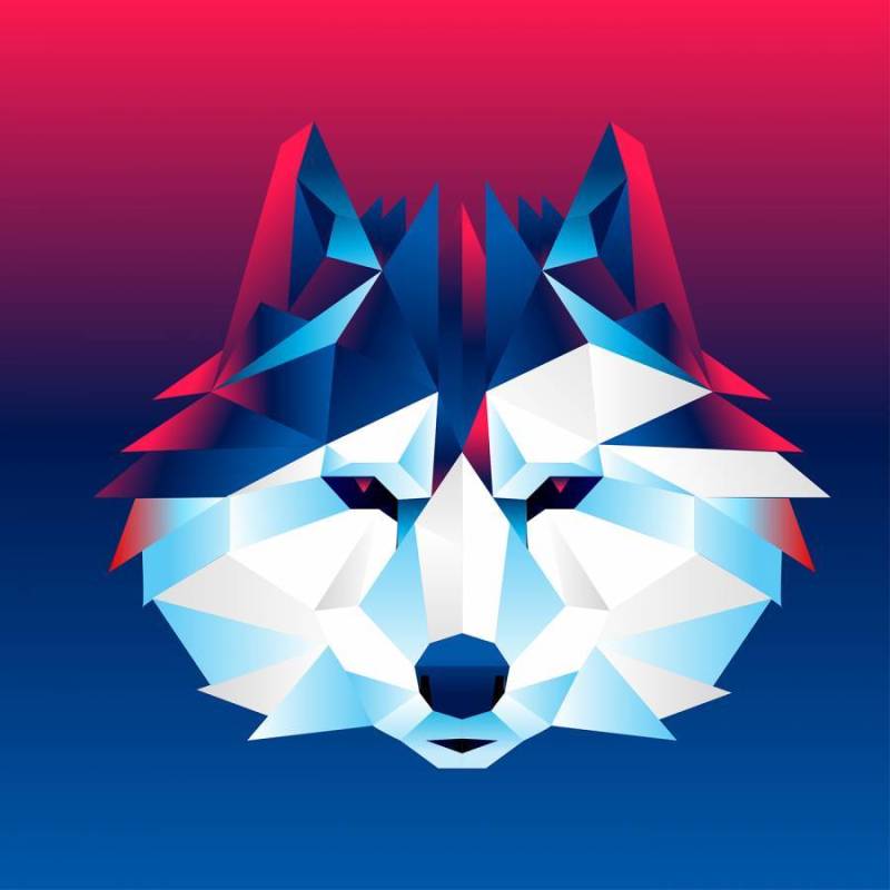 抽象的狗脸矢量