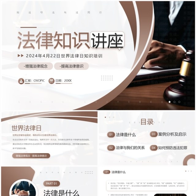 棕色简约风世界法律知识讲座PPT模板 棕色简约风世界法律知识讲座PPT模板