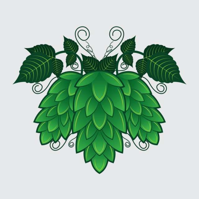 蛇麻草植物矢量图