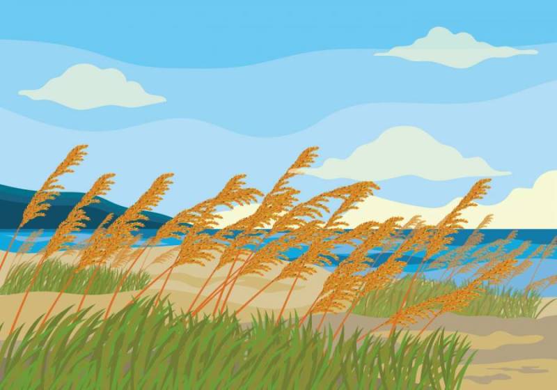 海燕麦矢量背景