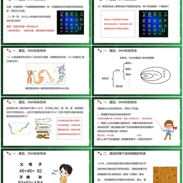 部编版八年级生物下册基因在亲子代间的传递课件PPT模板