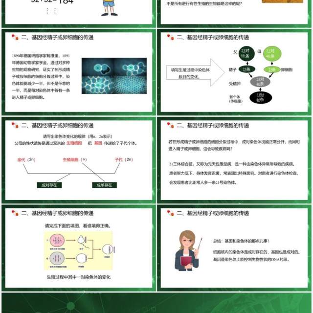 部编版八年级生物下册基因在亲子代间的传递课件PPT模板