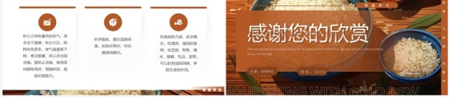 棕色简约风深秋寒露谈养生PPT模板 棕色简约风深秋寒露谈养生PPT模板