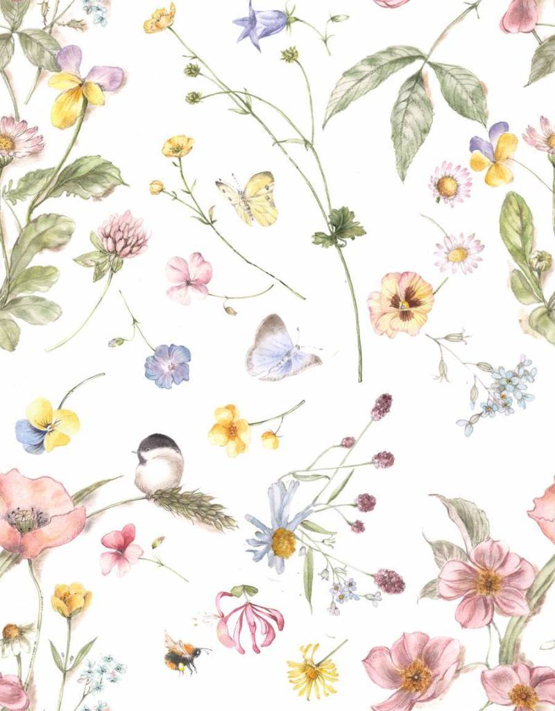 背景3a - 连续的花卉图案，野玫瑰，鸟类和蝴蝶