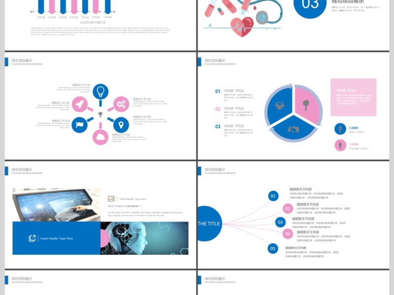 2019红蓝色医疗管理PPT模板