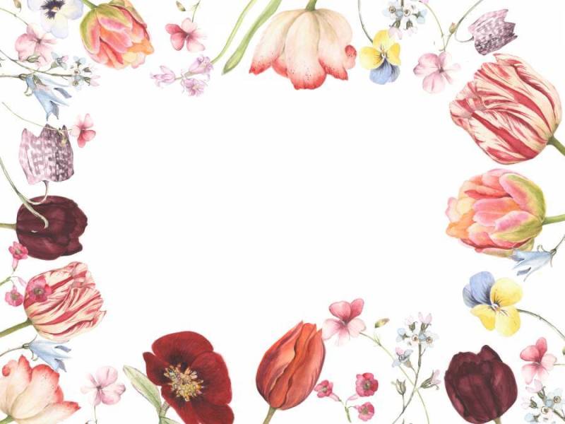 花，花花框架 - 框架