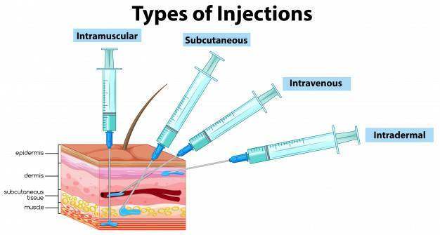 注射的类型在白色背景的