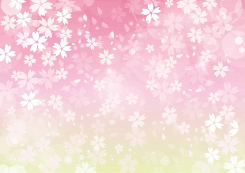 桜背景　全面