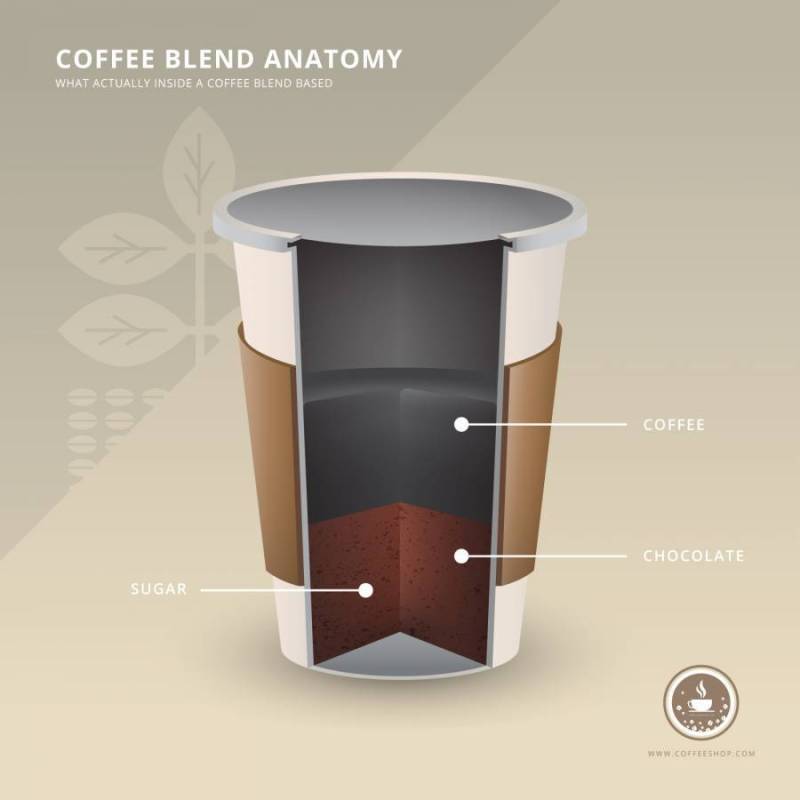 咖啡店徽标与咖啡解剖成分现实例证。