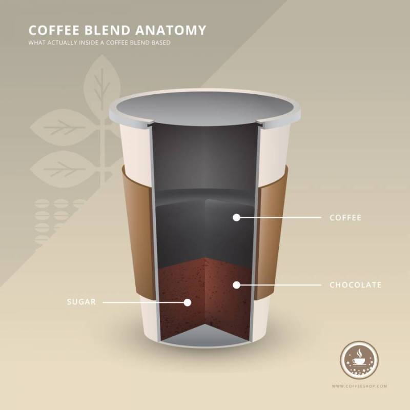 咖啡店徽标与咖啡解剖成分现实例证。