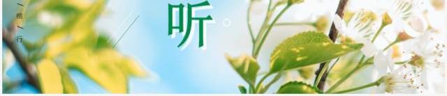 绿色清新风五月你好PPT通用模板 绿色清新风五月你好PPT通用模板