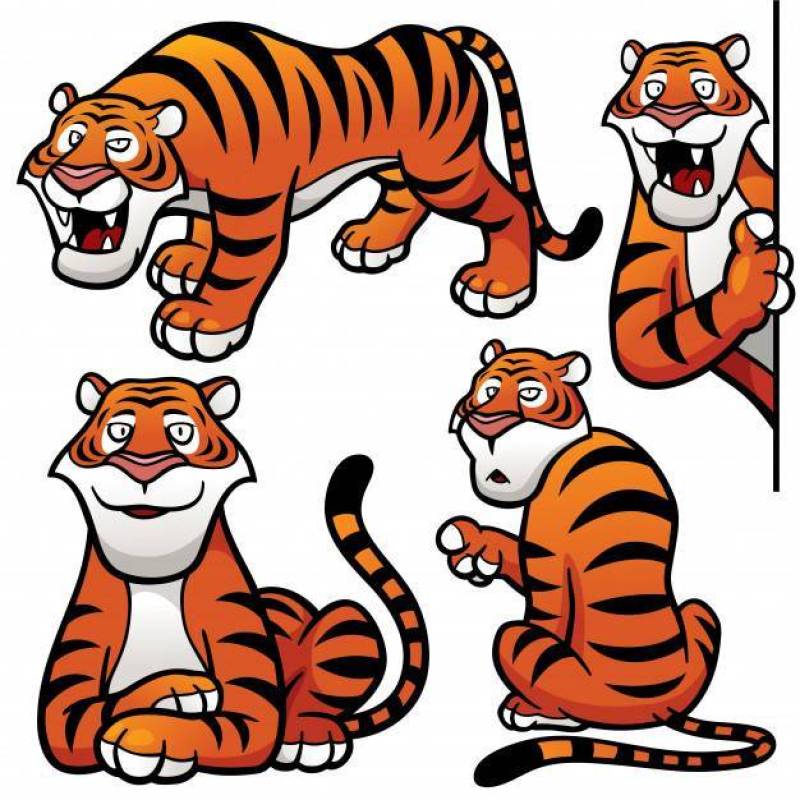 Cartoon Tiger Character