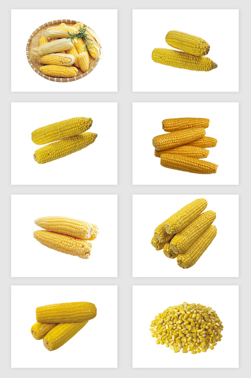 高清免抠玉米素材