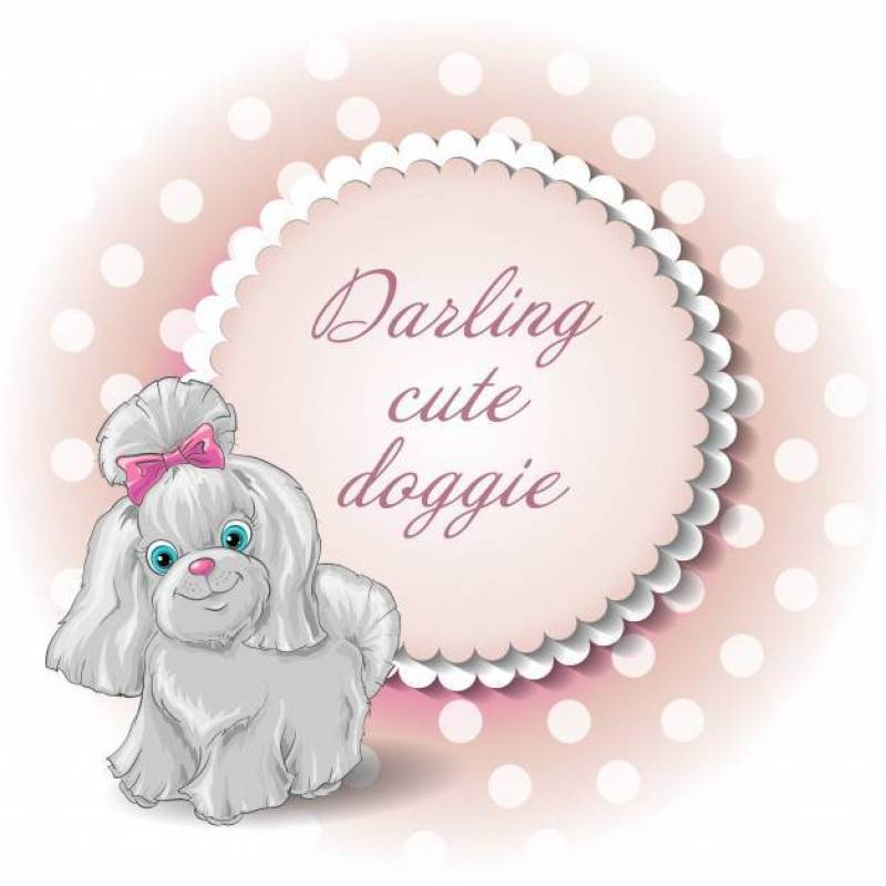 Cute dog yorkshire terrier