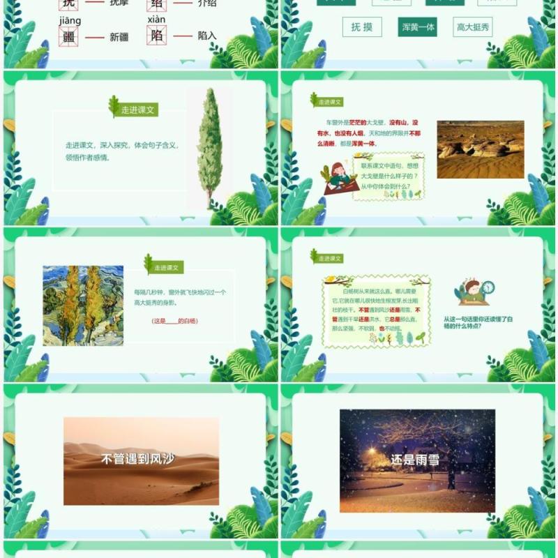 部编版五年级语文下册白杨课件PPT模板