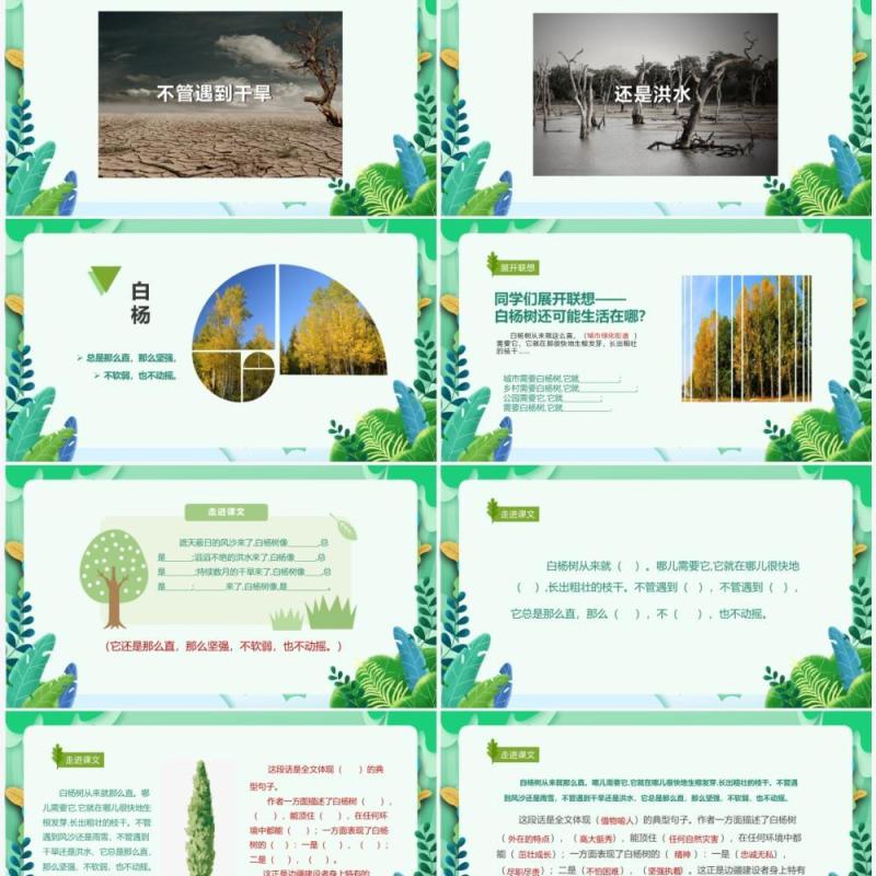 部编版五年级语文下册白杨课件PPT模板