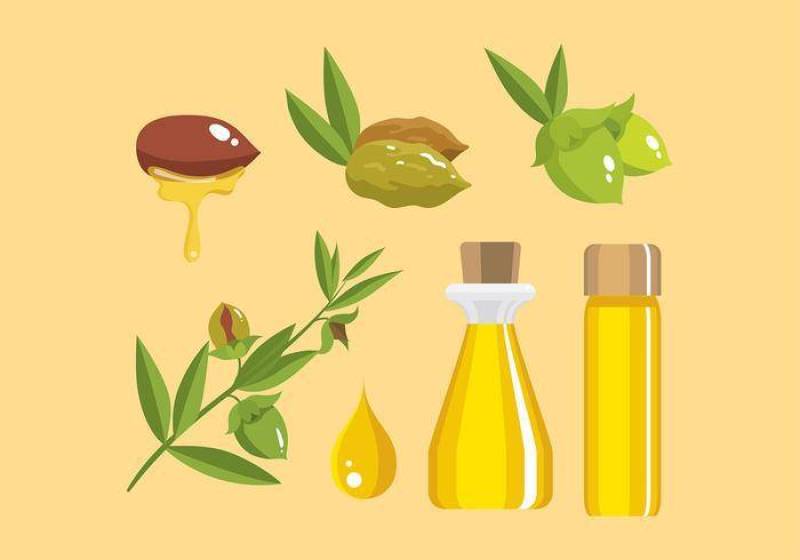 荷荷巴产品平 矢量