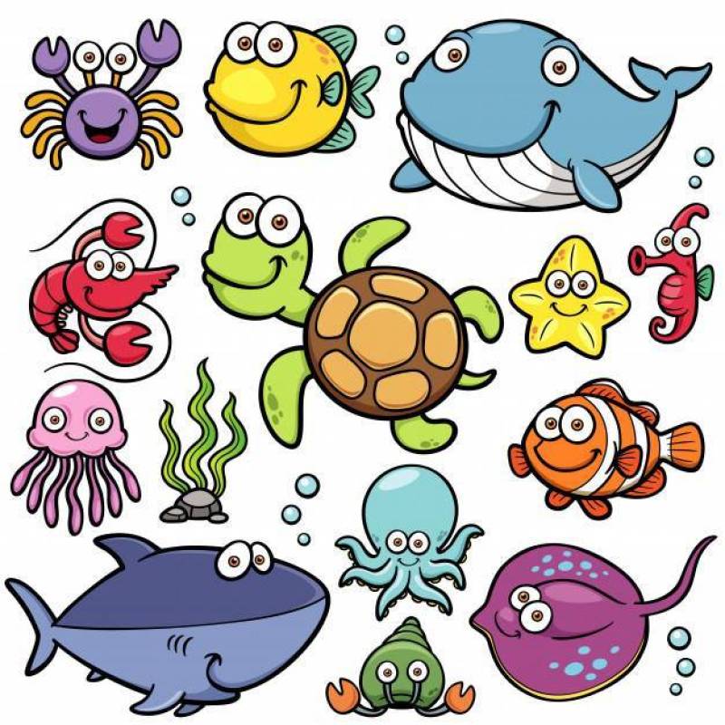 Sea animals Cartoon