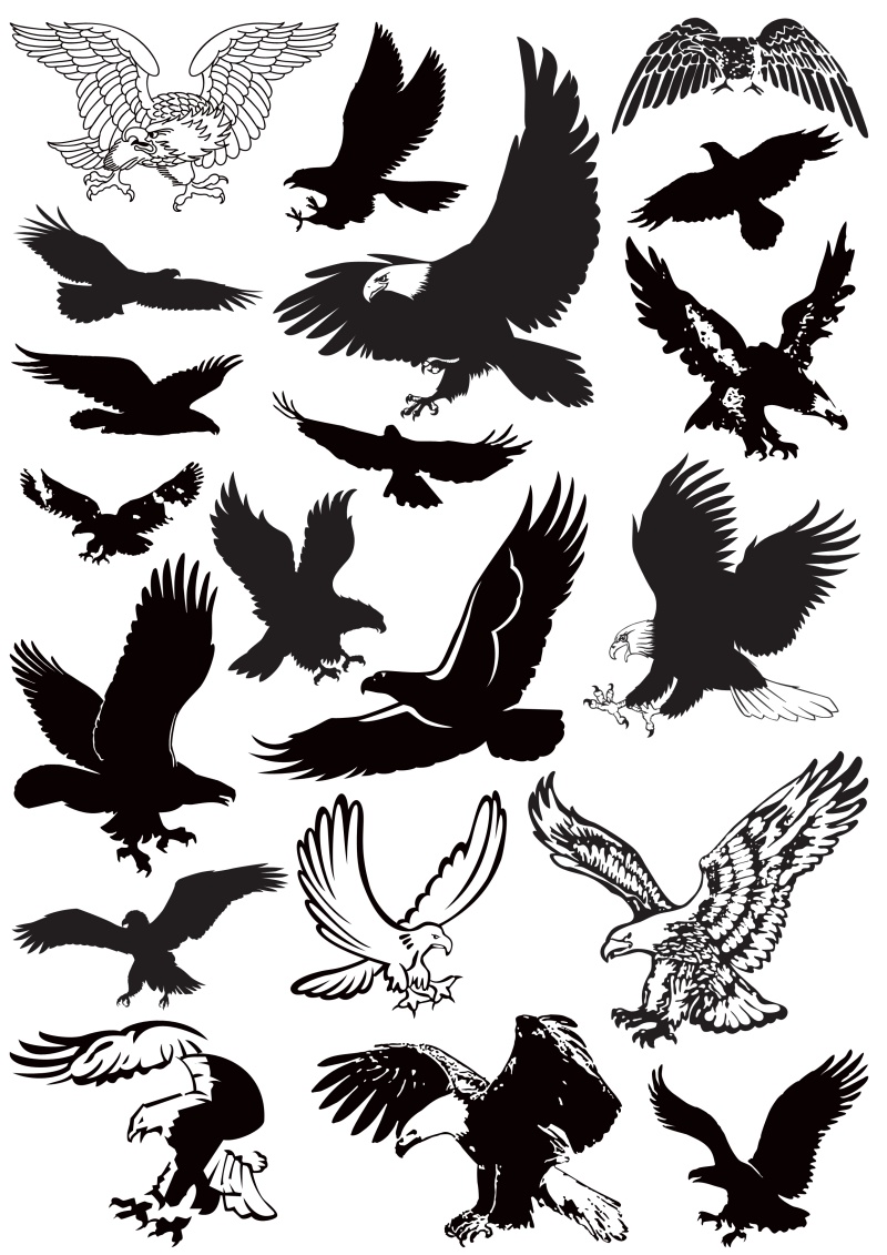 纹章轮廓与书法元素18