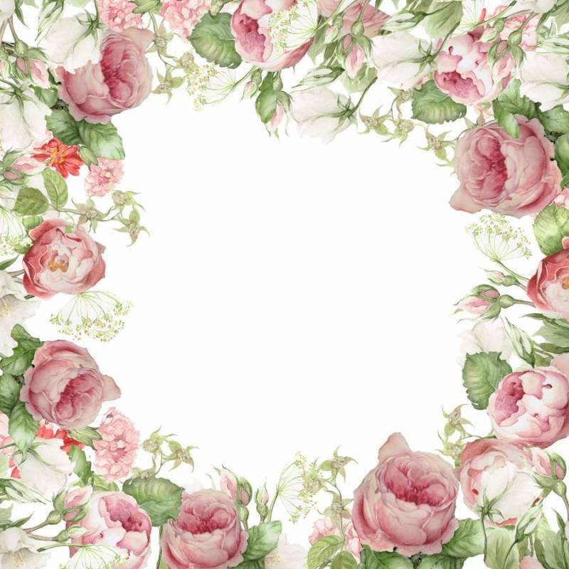 温柔的颜色玫瑰花框架 - 框架