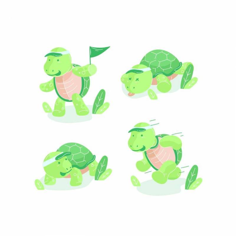 海龟卡通矢量