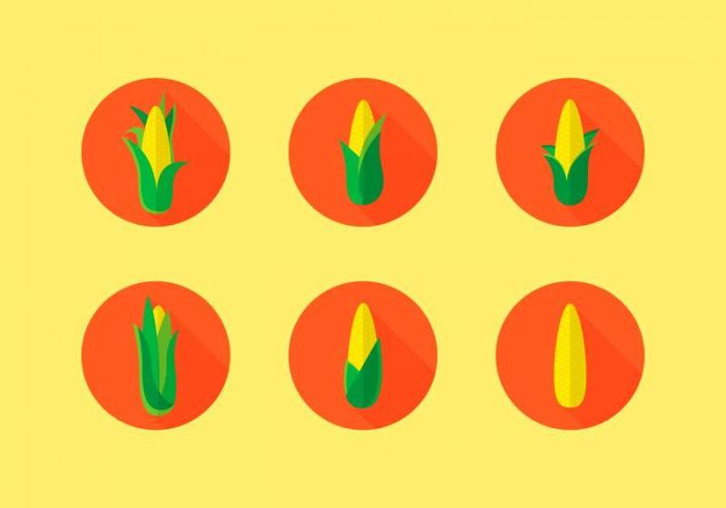 玉米秸秆 矢量包