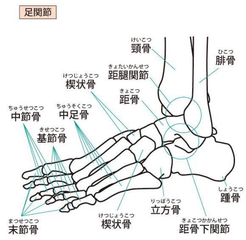 足关节