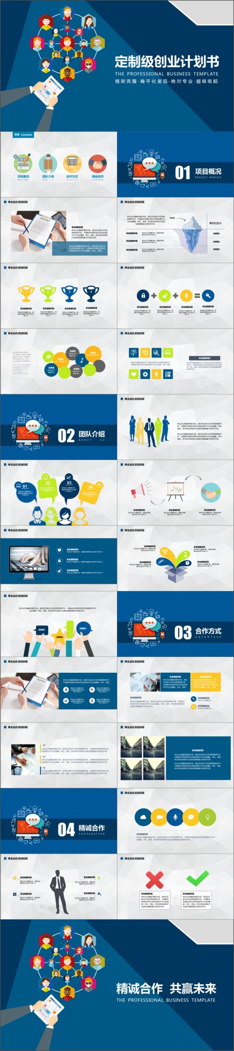 定制级创业计划书