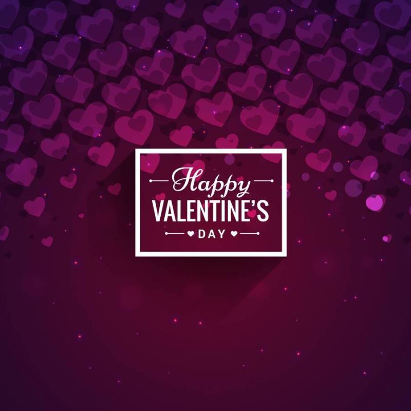 紫心情人节卡片矢量设计插画