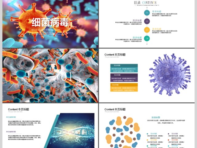 细菌病毒微生物ppt